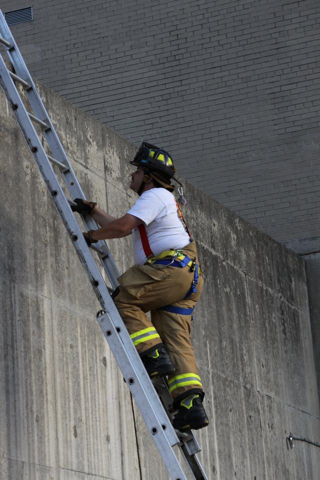 Ladder Training